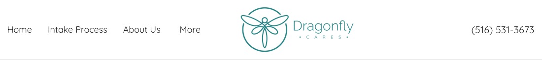 Dragonfly ABA